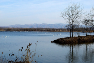 环秦岭|瀛湖.紫阳.太极城森林公园3日